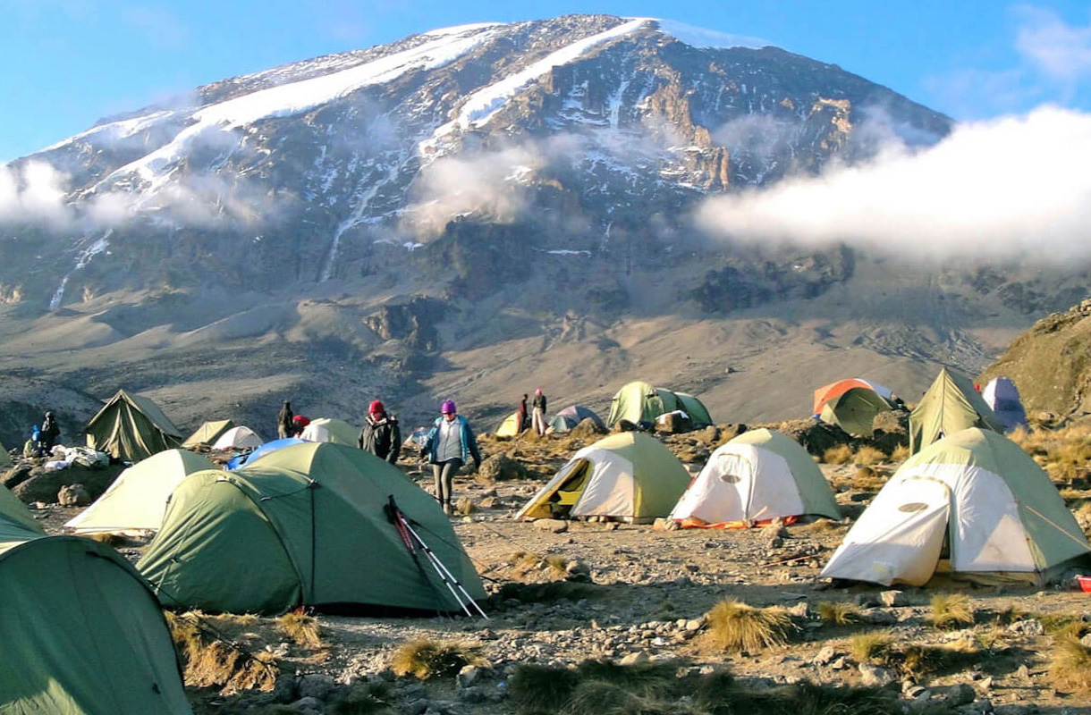 Safaris in Tanzania