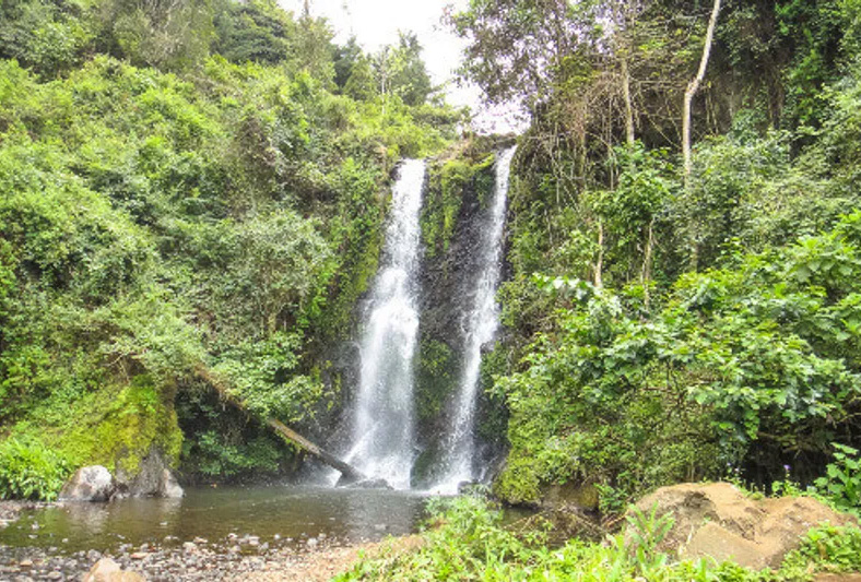 Kinukamori Waterfall Tour