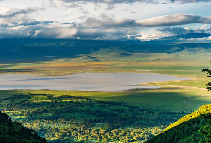 Safaris in Tanzania