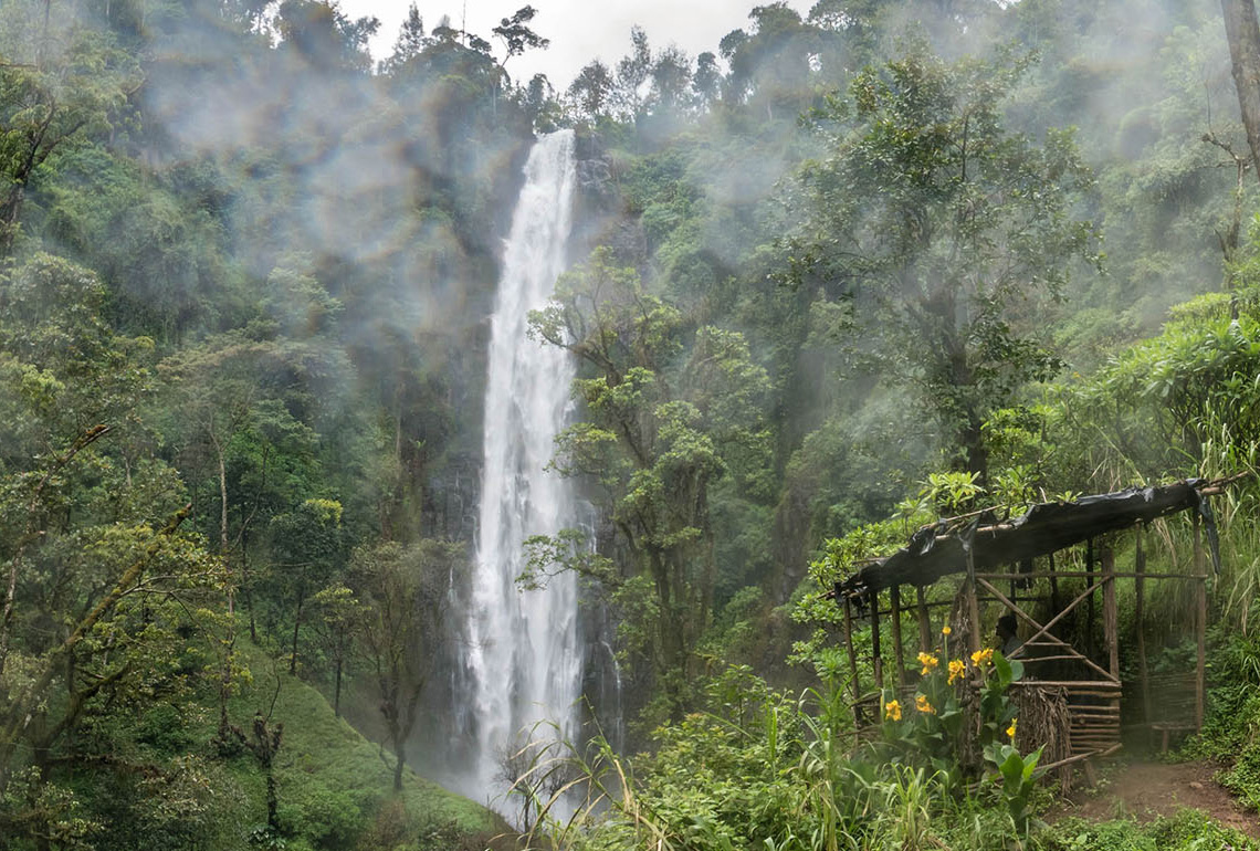 Materuni Waterfalls and Coffee Tour